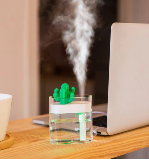 Transparent Portable Humidifier