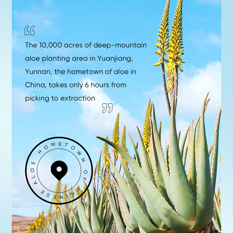 Aloe Vera Hand Cream Lotions Serum Repair Nourishing Hand Skin Care