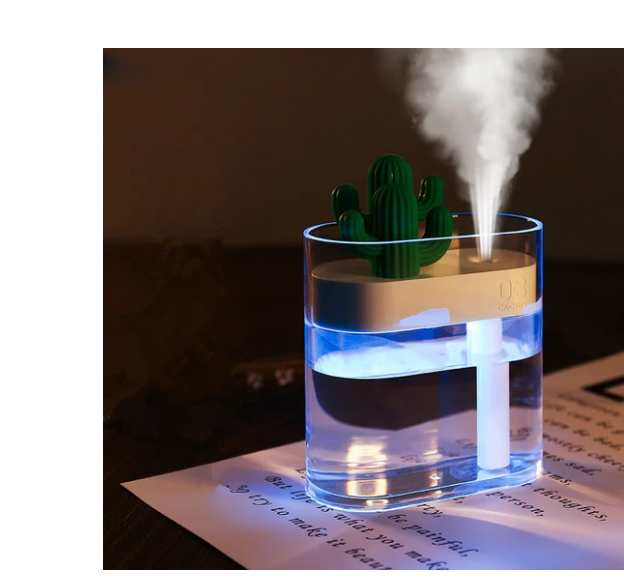 Transparent Portable Humidifier