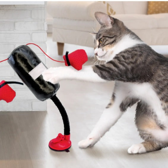 Portable Cat Punching Bag Toy Interactive Indoor Cats Kitten Toy With Gloves Cat Toy For Kitten Pet Cat Supplies Pets Products