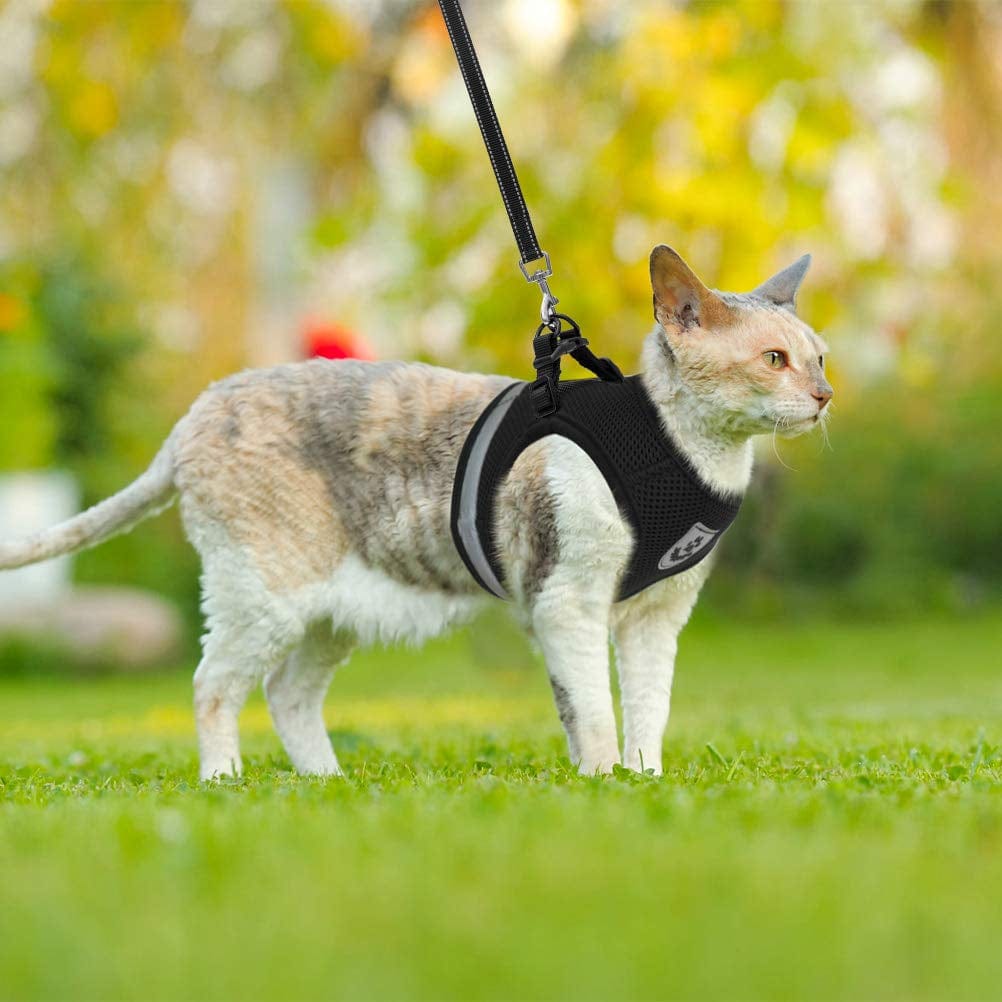 CozyCat Pet Harness