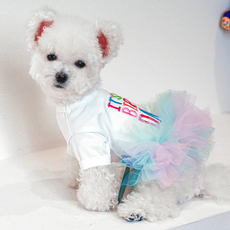 Clothes for Small Dogs Birthday Short Sleeve Pet Dog Dresses