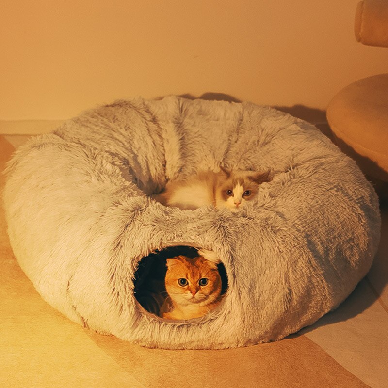 Cat Bed