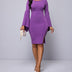 Women's Solid Color Lace Sleeve Casual Hip Hugging Dress