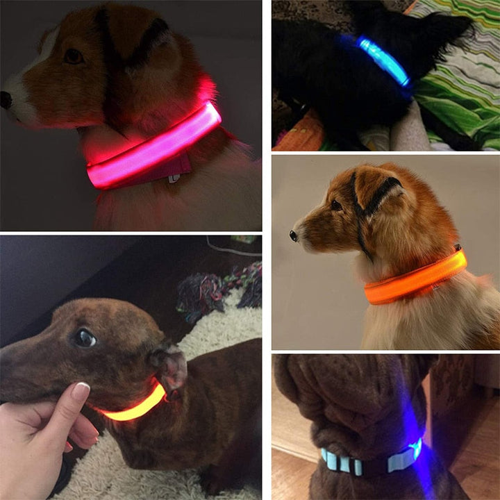 Coleira LED para cães