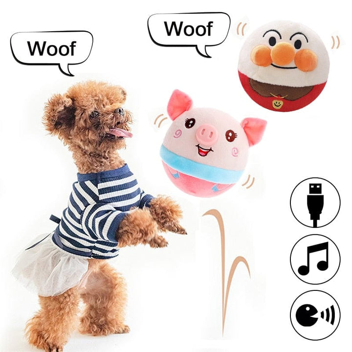 PetPalz: Interactive Talking Ball for Pets