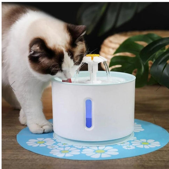 Fonte de água para gatos alimentada por USB