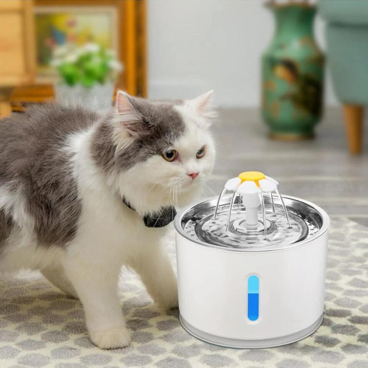 Fonte de água para gatos alimentada por USB