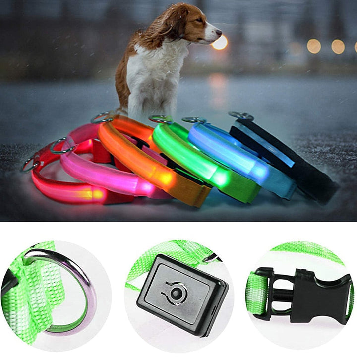 Coleira LED para cães