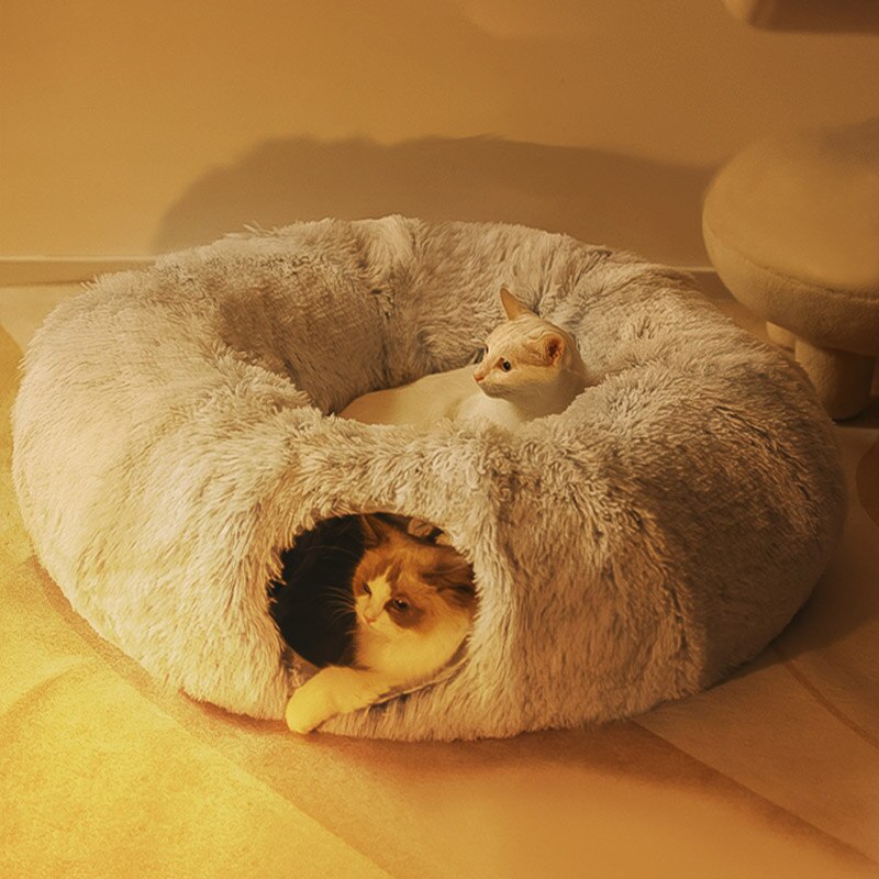 Cat Bed