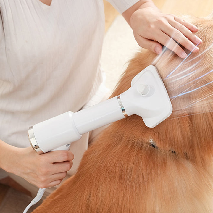 Secador de cabelo portátil 2 em 1 para cães